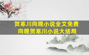 贺寒川向晚小说全文免费 向晚贺寒川小说大结局